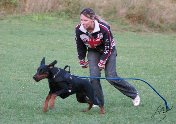 Summer training camp - Jelenec - 2007